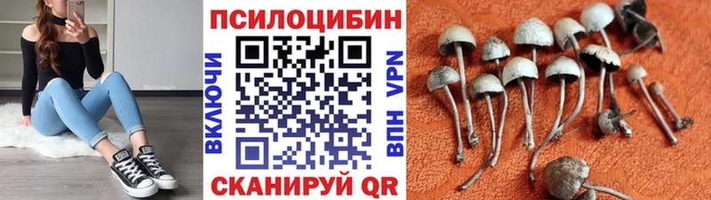 Псилоцибиновые грибы Psilocybe  Купить  Дно 