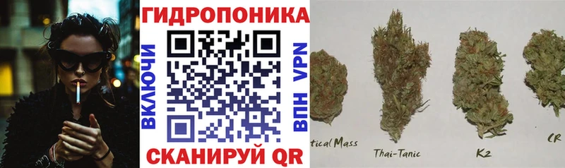 Купить закладки  Дно  Бошки марихуана VHQ 